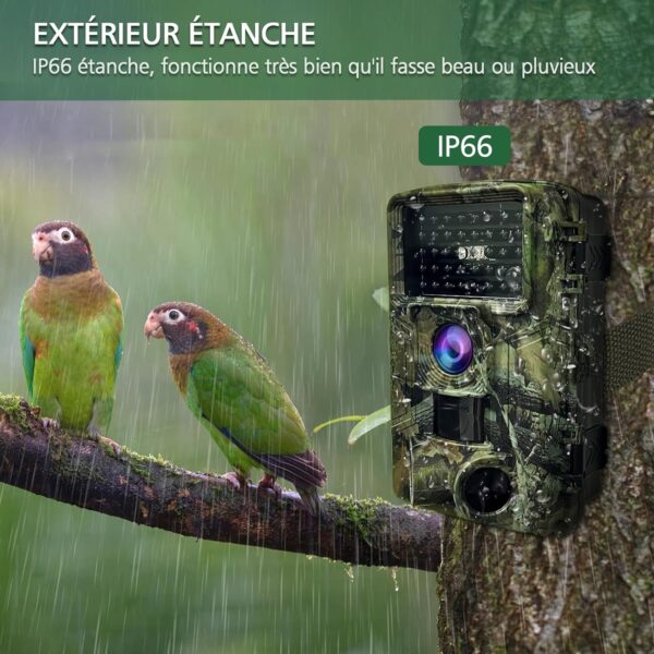 Image de l'écran LCD de la camera de surveillance chasse affichant les paramètres et les enregistrements vidéo.