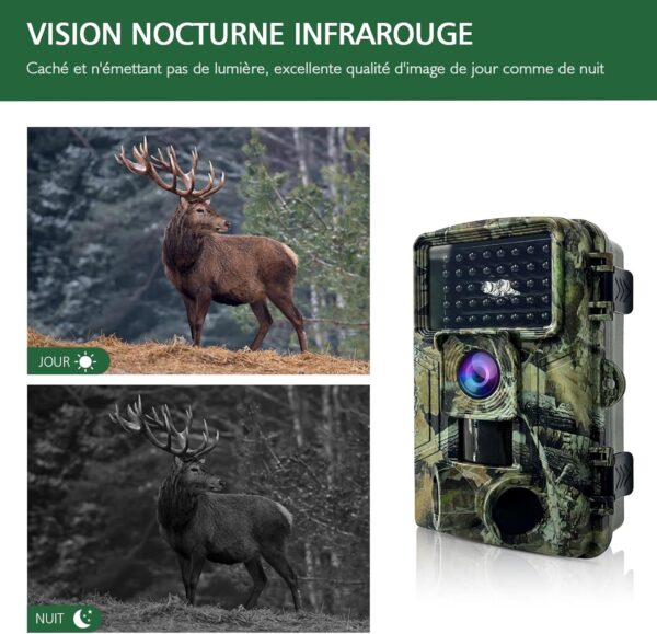 Image capturée en haute résolution par la camera de surveillance chasse, montrant des détails clairs de la faune.